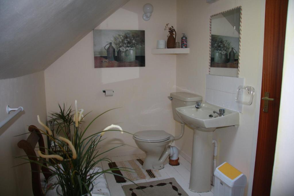 The Old School House B&B Ballinskelligs Habitación foto